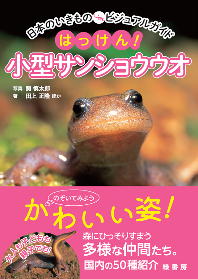 「日本のいきものビジュアルガイド　はっけん！　小型サンショウウオ」の書影。
