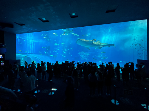 水族館の大水槽はどうやって作られているの？ NIPPURAが誇るアクリル 