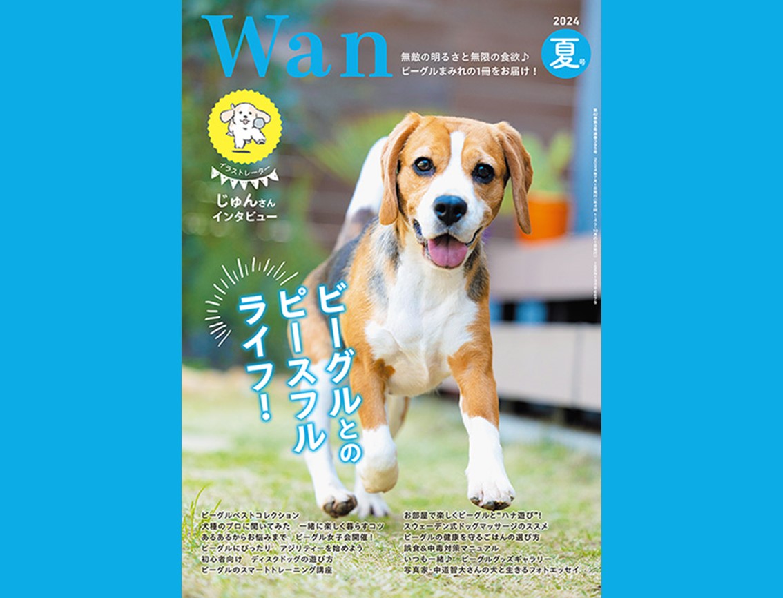 子犬さま専用 いぬいさま専用 ☆びーぐる犬☆ さま専用 びーぐる様専用