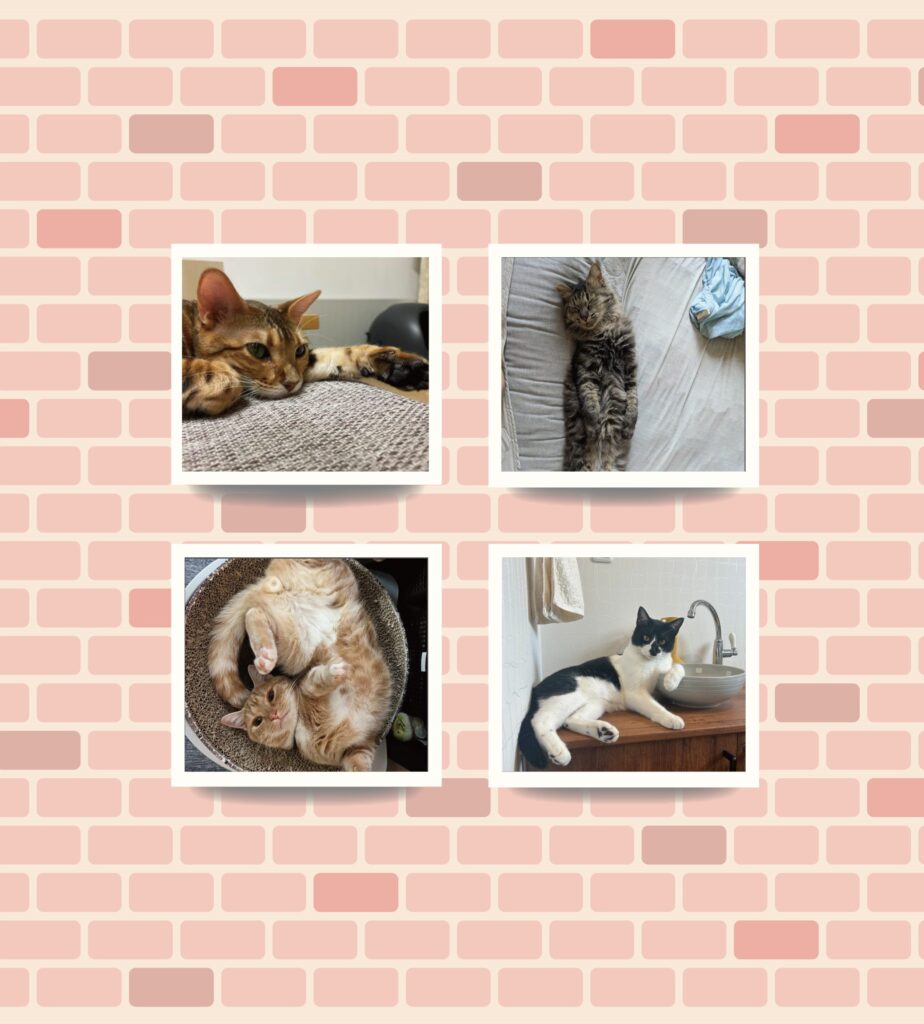 日本発祥の縁起物「招き猫」の昔と今 - いきもののわ