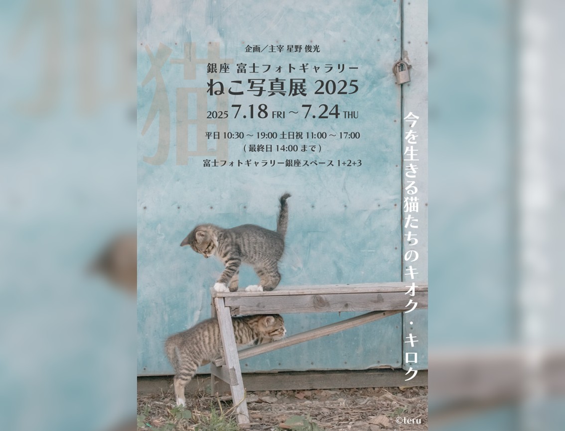 銀座 富士フォトギャラリーねこ写真展2025」2025年7月18～24日開催