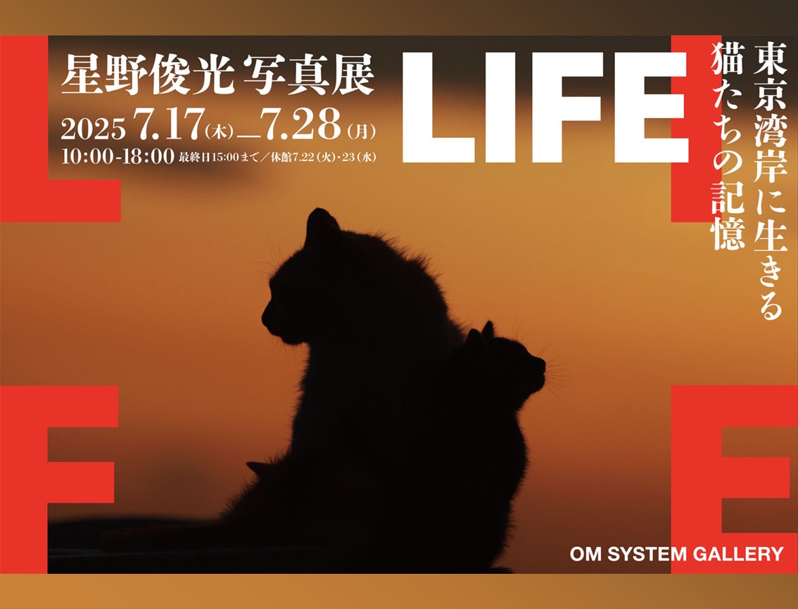LIFE ～東京湾岸に生きる猫たちの記憶～ 星野俊光写真展」2025年