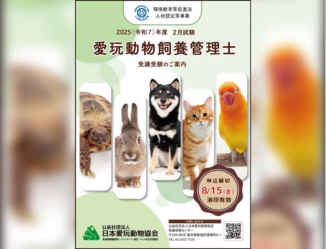 愛玩動物飼養管理士 1級 2級 2024年 セット 新品 愛玩動物飼養管理士 2級 テキスト 新品未使用 3冊セット - メルカリ