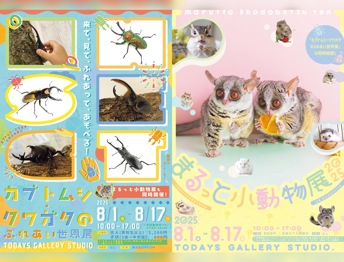 カブトムシ・クワガタのふれあい世界展2025」「まるっと小動物展