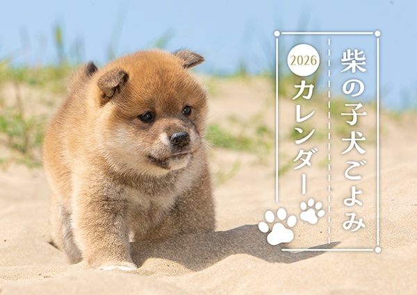 Wan」2026年冬号 特集は「柴犬愛」を極めたい - いきもののわ