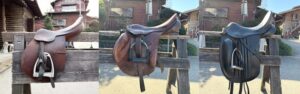 意外と多い馬の装備～基本の馬具を知ろう！～ - いきもののわ