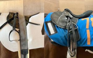 意外と多い馬の装備～基本の馬具を知ろう！～ - いきもののわ