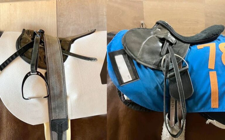 意外と多い馬の装備~基本の馬具を知ろう!~ - いきもののわ